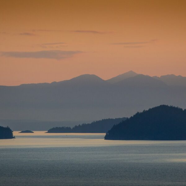 Photo by Ben Wicks on Unsplash